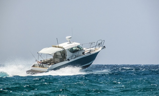 fishingcharters