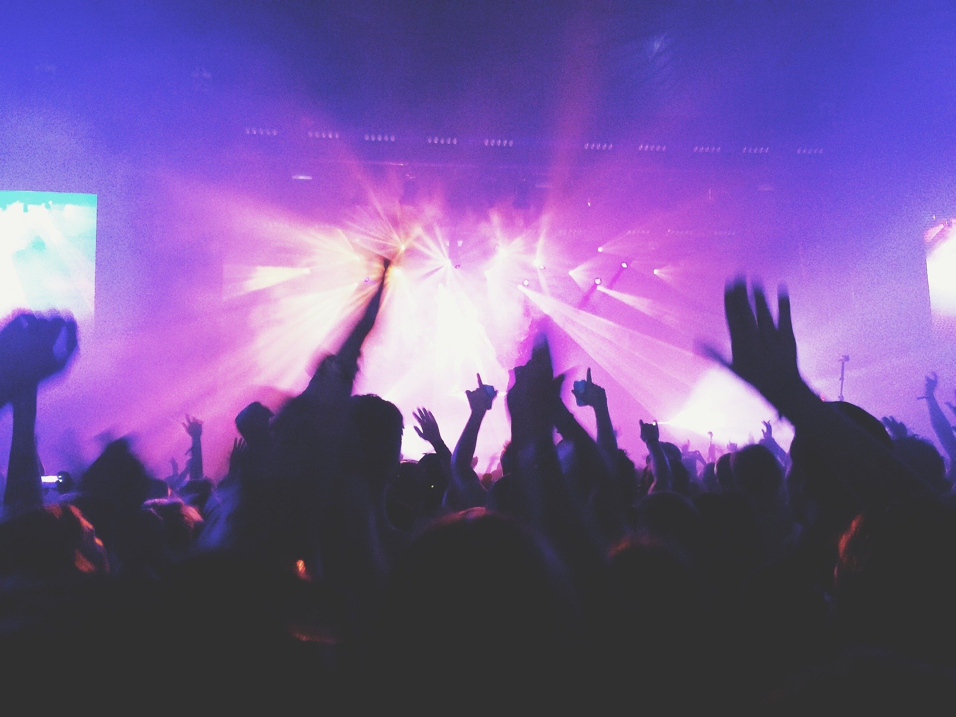 nightclubs
