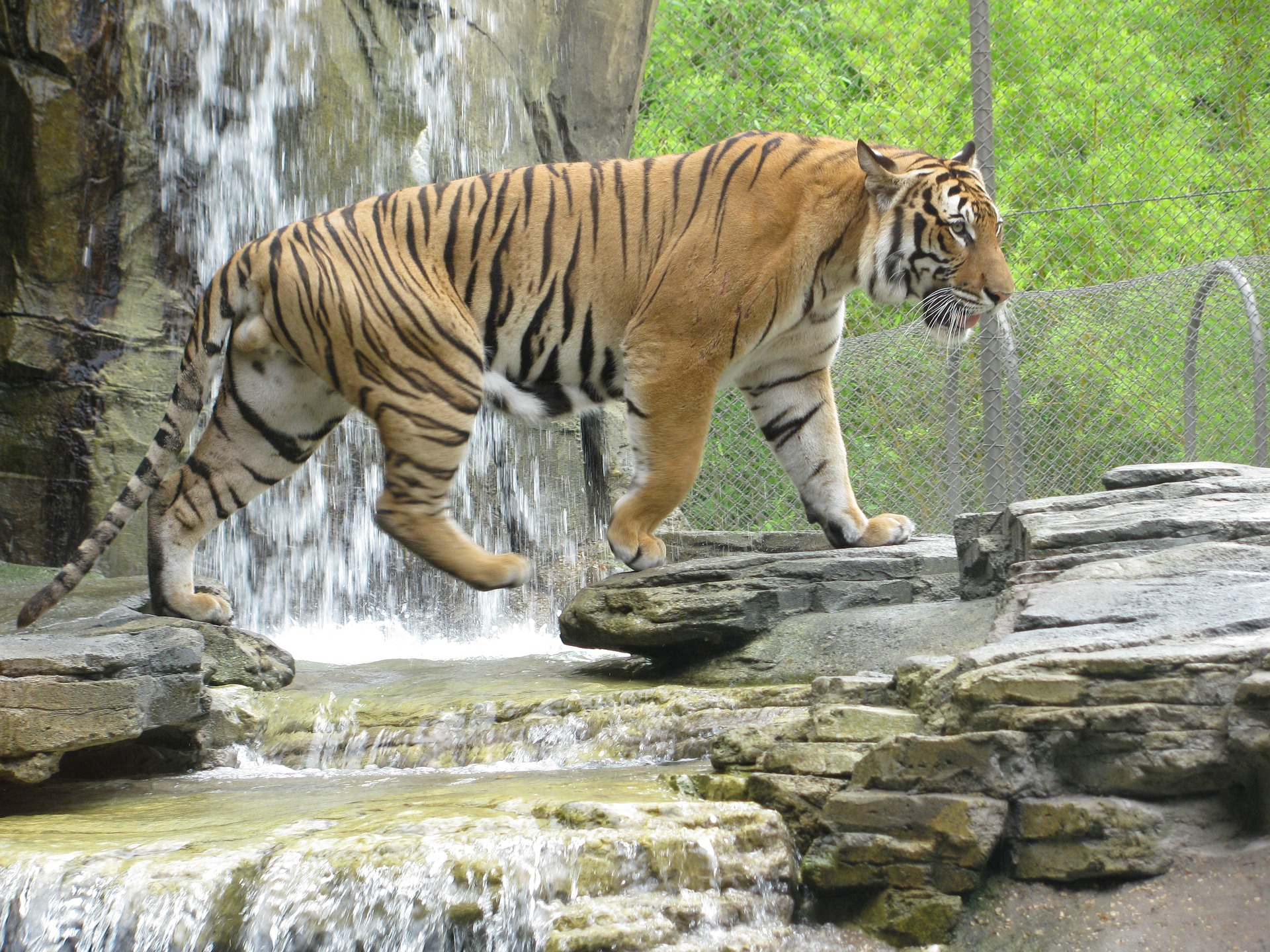 wildlifeareas