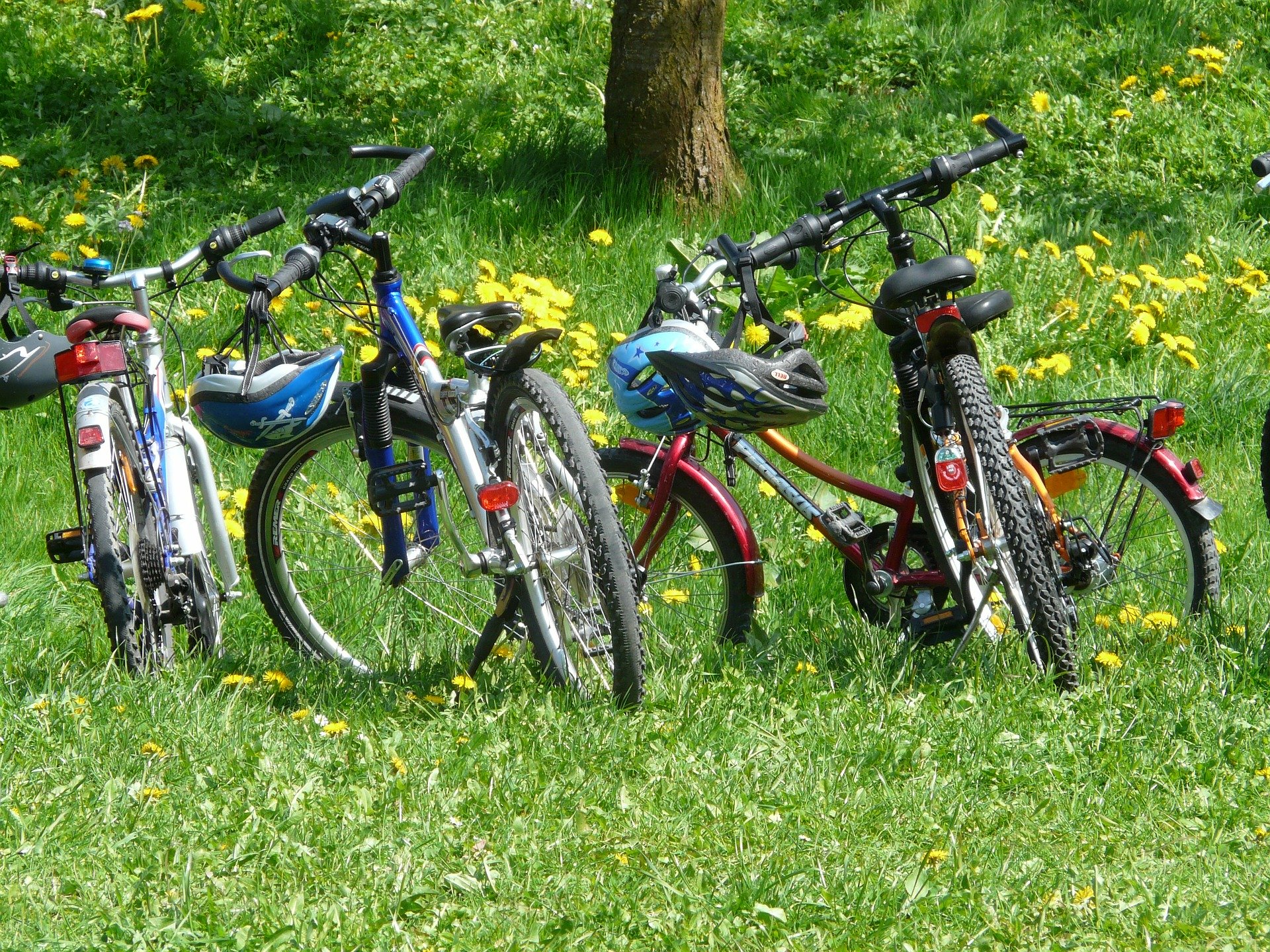 bicycle