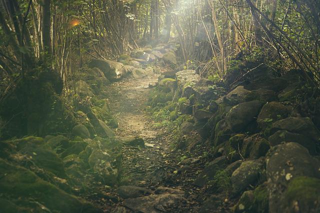 hikingtrails