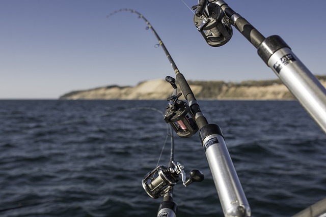 fishingcharters